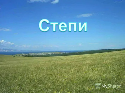Зона степей России: расположение, карта, природные условия, животные и  растения