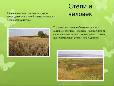 Презентация на тему: \"Природная зона умеренного пояса- зона степей.. Степь  равнина, поросшая травой. Характерной особенностью степей является  практически полное отсутствие.\". Скачать бесплатно и без регистрации.