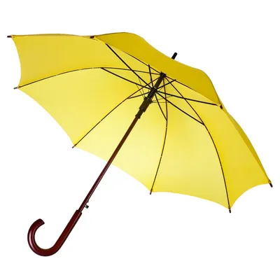 Зонт картинка фотографии