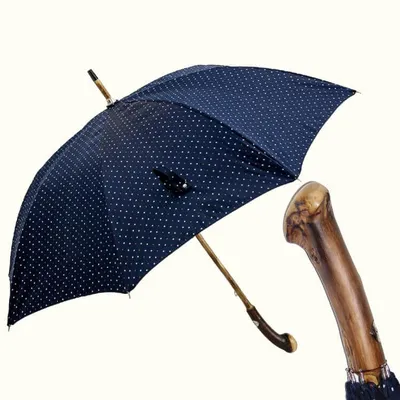 Как выбрать зонт в подарок – полезные советы и оригинальные идеи
