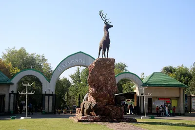 Топ-10 зоопарков России