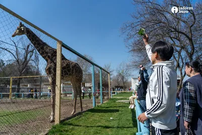 Пражский зоопарк: как добраться, цены | Достопримечательности