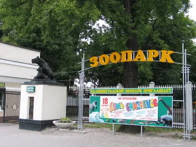 Калининградский зоопарк — Википедия