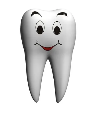Статья о стоматологии: Ребенок сломал, вывихнул, ударил или расколол зуб.  Что делать?