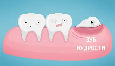 Шатаются зубы у детей и взрослых - почему, что делать, как лечить