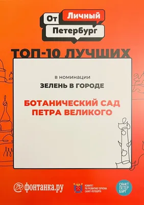 Указ Президента Российской Федерации от 26.11.2022 № 858 ∙ Официальное  опубликование правовых актов