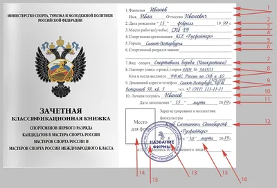 Роман Голованов возглавит комитет по контролю за имуществом - 20 ноября  2023 - Петербург Онлайн