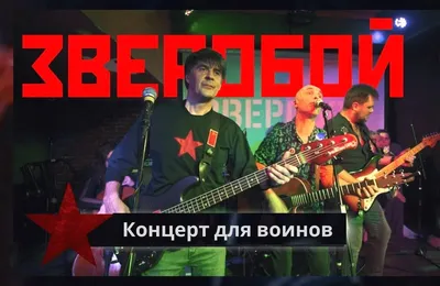 Группа «Зверобой»: «Пели и в окопах, и на площадях» | СВОи. Герои регионов  | Дзен